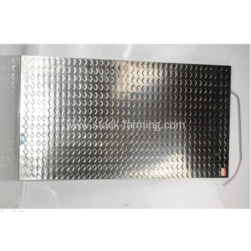 Stainless steel Save electricity Piglet Heating Plate